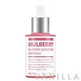 A'pieu Mulberry Blemish Clearing Ampoule 