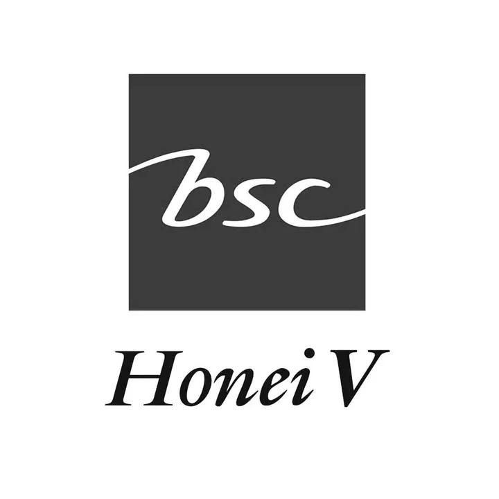 Honei V