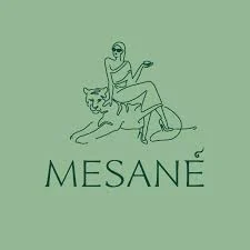 Mesane