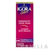 Igora Colors