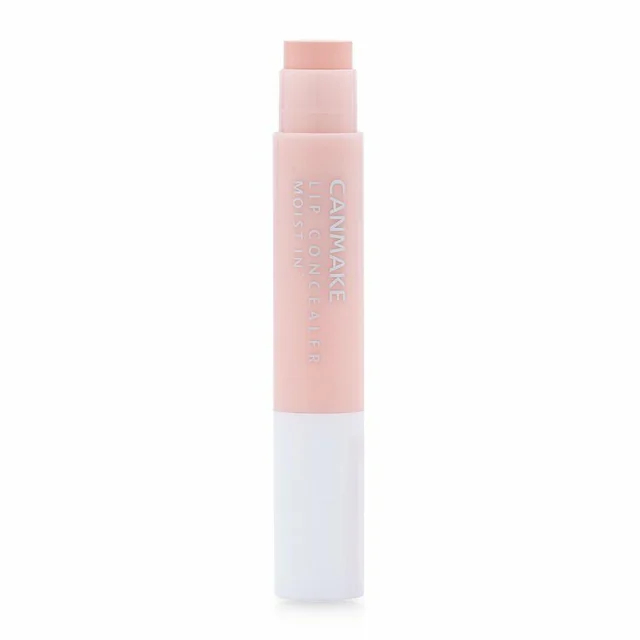 Lip concealer