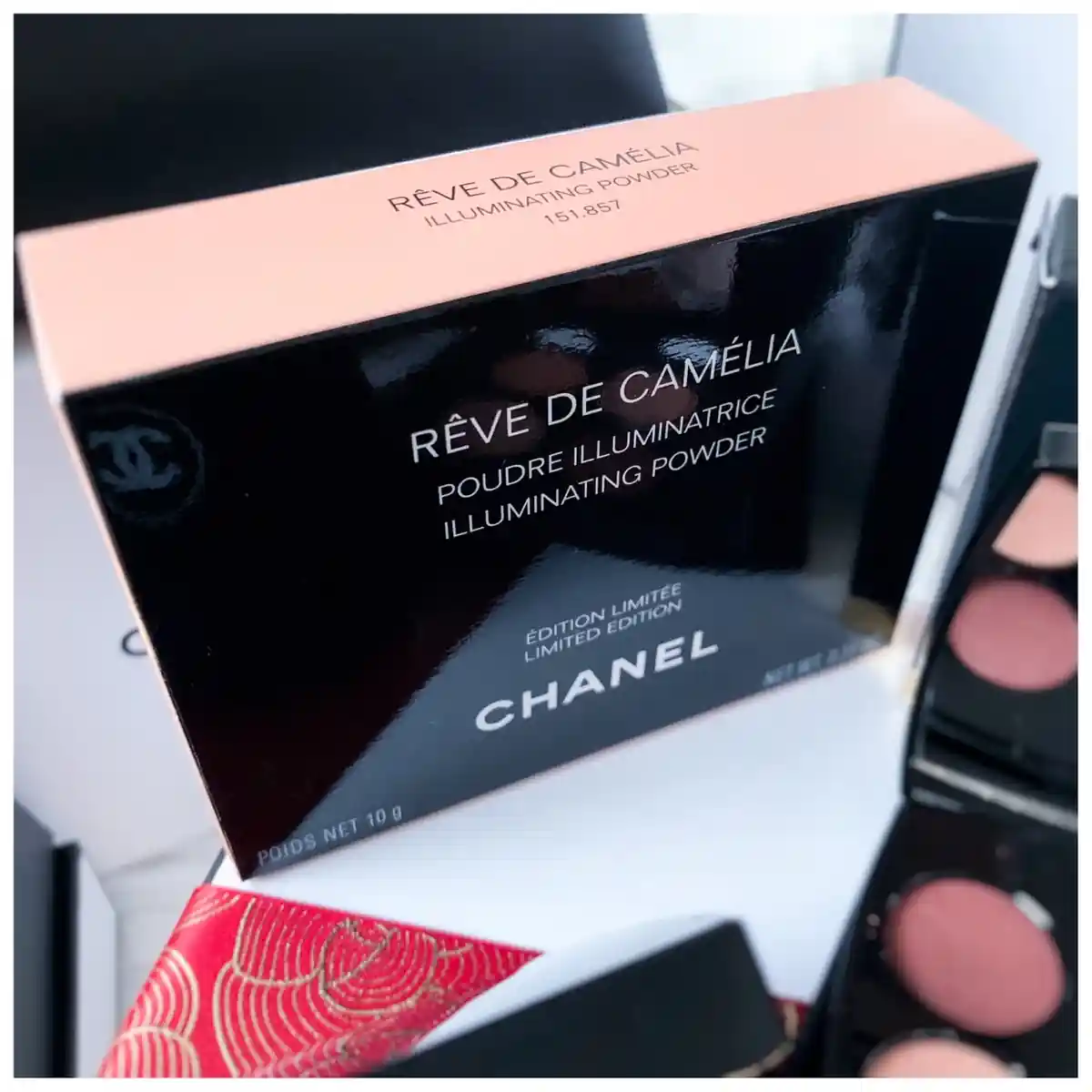 Reve De Camelia