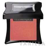Powder Blusher