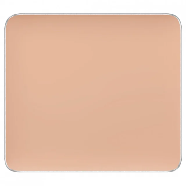 Freedom System Concealer