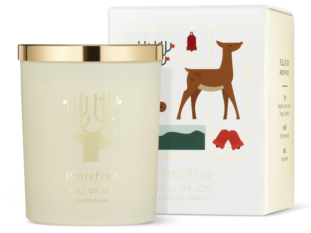 Green Christmas 2016 Collection Special Wish & Full Of Joy Scented Candle