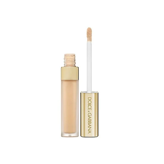 The Concealer Perfect Finish Concealer