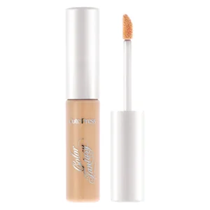 Color Fantasy Easy Blend Concealer