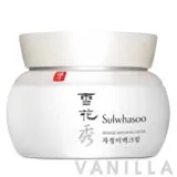 Snowise EX Whitening Cream