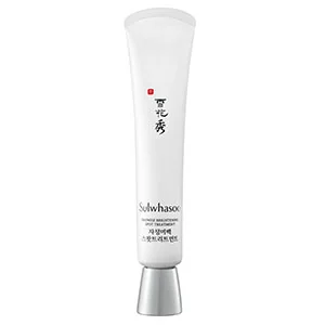 Snowise Brightening Spot Treatment