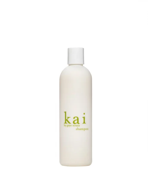 Conditioner