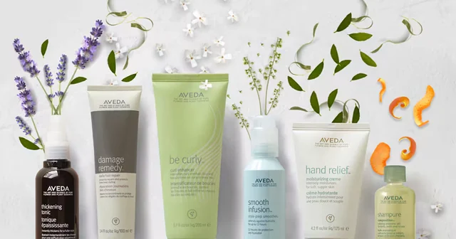 A Gift Of Renewal For Your Journey