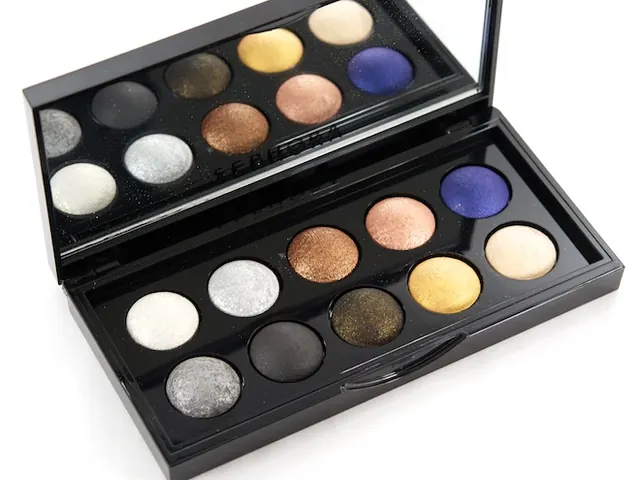 Moonshadow Palette In The Night