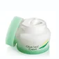 Olive Leaf Cream