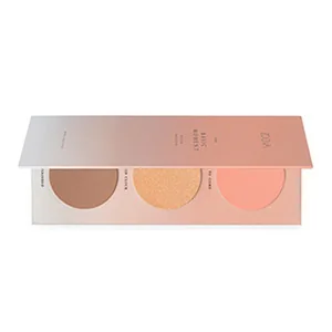 The Basic Moment Blush Palette