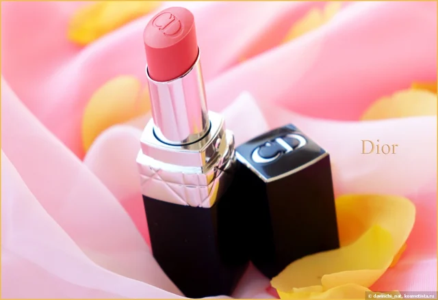 Spring Look Rouge Dior Lip Color (limited Edition)