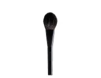 Brush Squirrel L