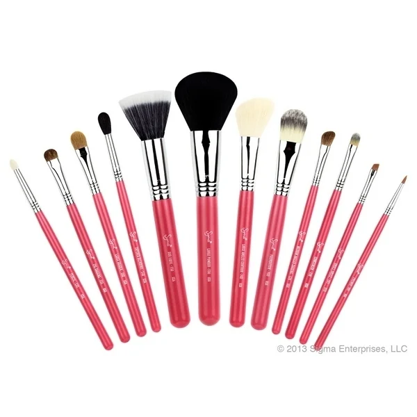 12 Brush kit Make Me Blush Coral