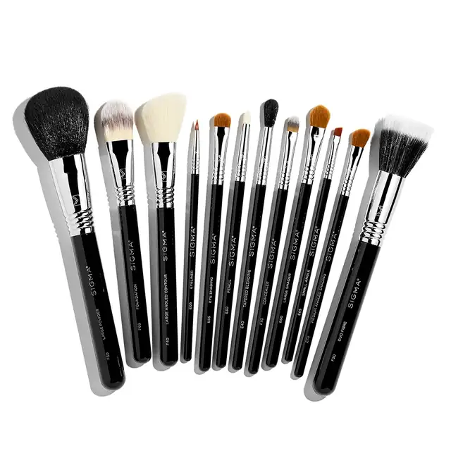 Best Of Sigma Brush Set