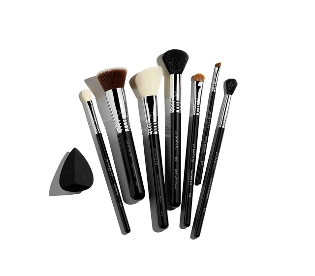Premium Professional Kit with Brush Roll Black