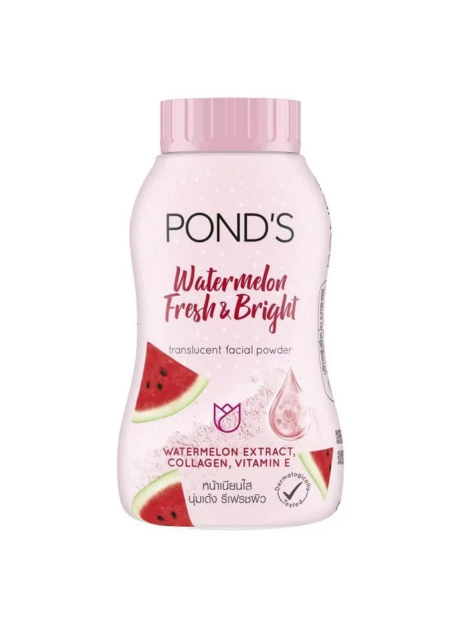 Translucent Facial Powder Watermelon Fresh & Bright