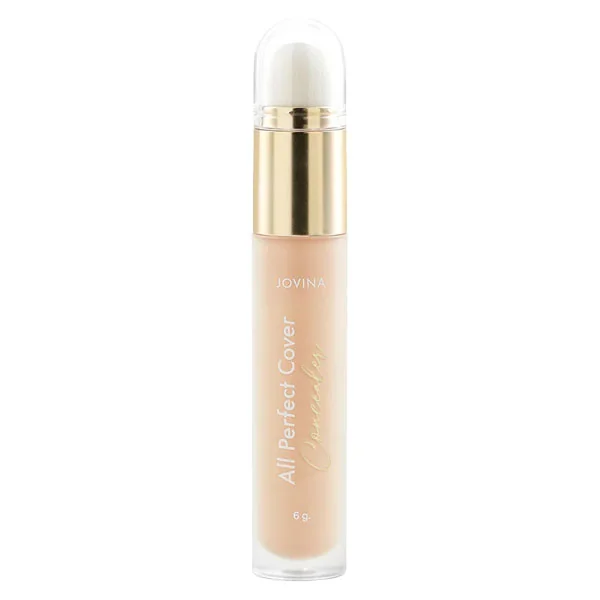 All Perfect Cover Concealer