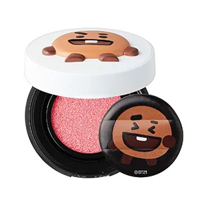 BT21 Cheek Cushion
