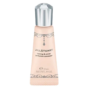 Lasting & Cover Perfection Concealer