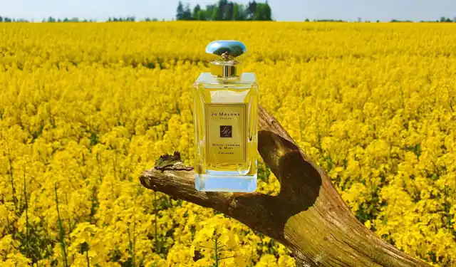 London Rain White Jasmine & Mint Cologne
