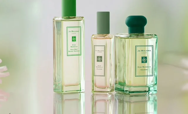 Star Magnolia Cologne