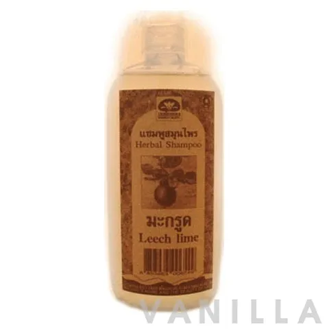 Herbal Shampoo Leech Lime