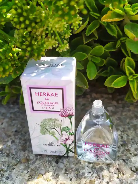 Herbae Eau de Parfum