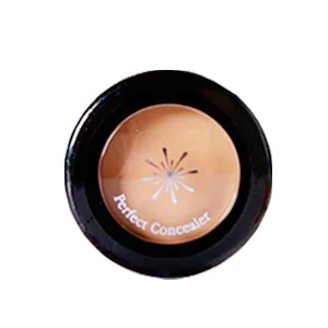 The Style Perfect Concealer