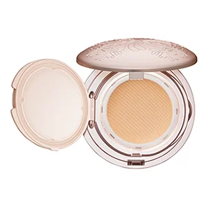 Gel Foundation
