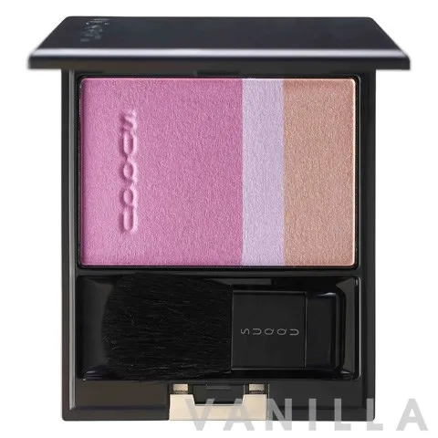 Pure Color Blush