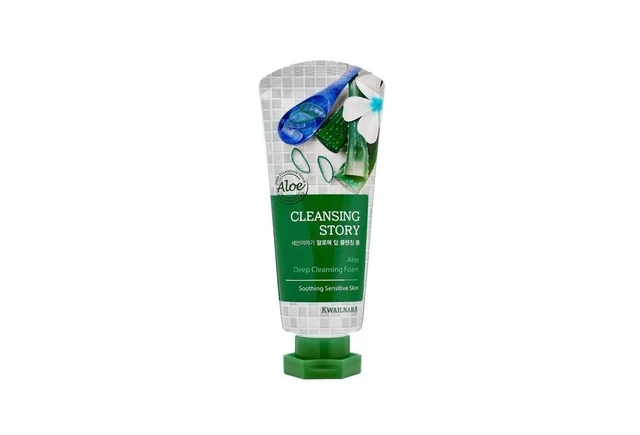 Cleansing Story Aloe Foam Cleanser