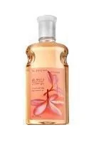 Plumeria