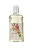 Sheer Freesia