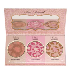 Leopard Love Complexion Perfection Kit