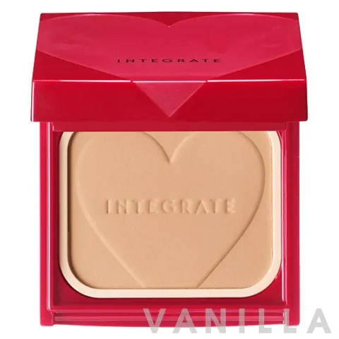 Professional Finish Foundation