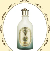 Agave Cactus Emulsion