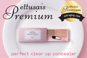 Premium Perfect Clear Up Concealer